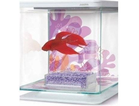 Aqu Rio Para Peixes Marina Kit Para Bettas Rosa Cm Pl Stico L