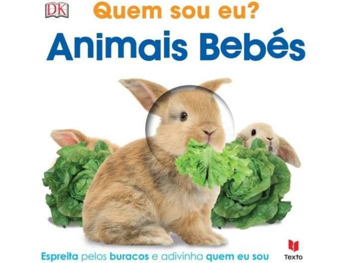 Pets fofinhos