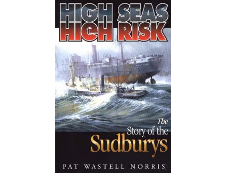 Livro high seas, high risk de pat wastell norris (inglês)