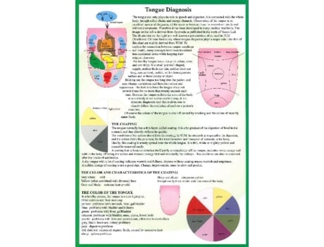 Livro Tongue Diagnosis A4 de Jan Van Baarle (Inglês)