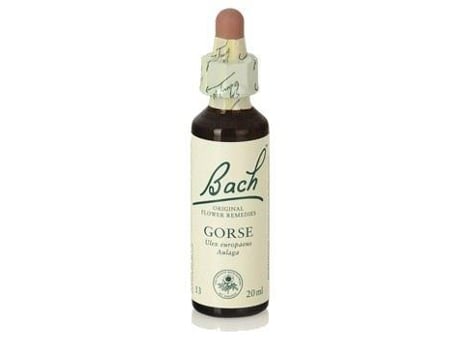 20 ml de flores Bach Gorse