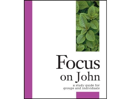 Livro focus on john de kathleen mulhern,stanley h. purdam (inglês)