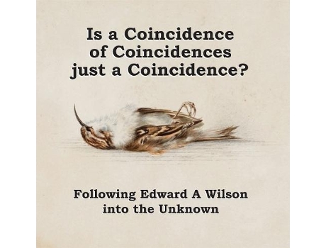 Livro Is a Coincidence of Coincidences just a Coincidence? Following Edward A Wilson into the Unknown de John Flux (Inglês - Capa Dura)