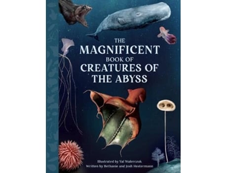 Livro The Magnificent Book Creatures of the Abyss de Bethanie Hestermann (Inglês - Capa Dura)