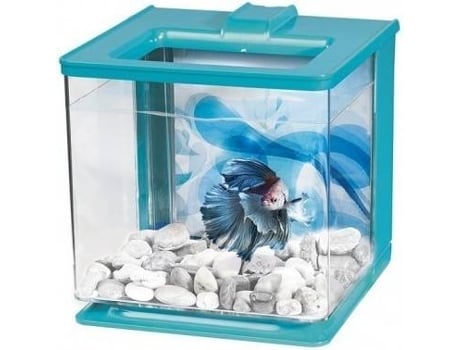 Aquário para Peixes  Kit para Bettas (Azul - Plástico - 2.5L)