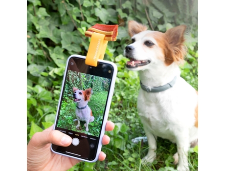 Clipe de Selfies para Animais de Estimação Pefie InnovaGoods