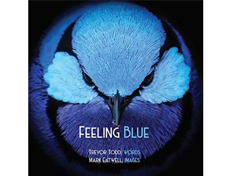 Livro Feeling Blue de Trevor Todd (Inglês)