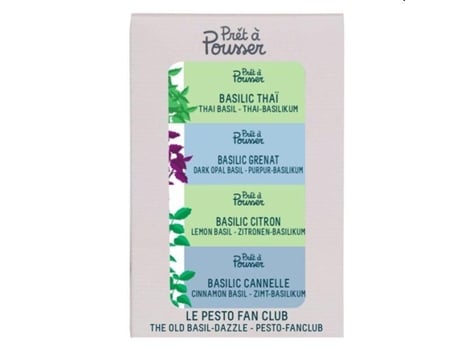 Pack Sementes Pesto Fan Club (Basílico Opala, Basílico Tailandês, Basílico Limão, Basílico Canela) Prêt À Pousser PRÊT À POUSSER