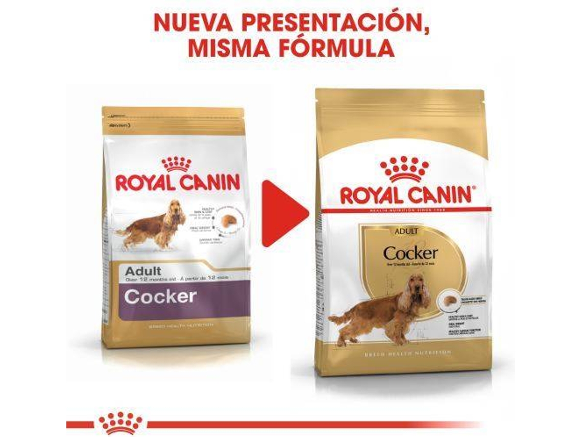 Royal canin cocker spaniel clearance 3kg