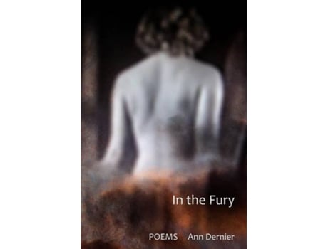 Livro In the Fury de Ann Dernier (Inglês)