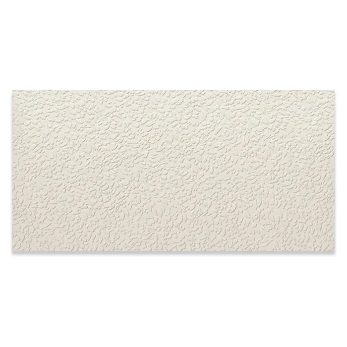 Azulejo APE Ceramica Nisus Neve 60x120 Mate Rec (62.35 €/m² - 3 cx - 4.32 m²)