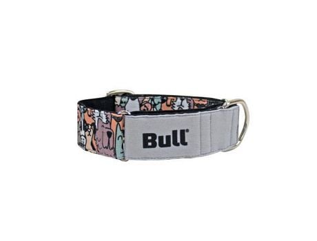 Coleira para Cão Greyhound Club 35-65 Cm BULL