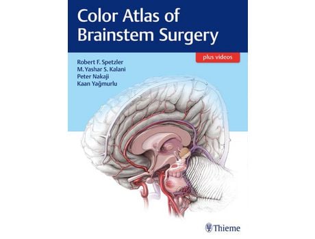 Livro Livro Color Atlas of Brainstem Surgery de Vários Autores (Inglês) de Robert F Spetzler, M Yashar S Kalani, Peter Nakaji, Kaan Yagmurlu ( Inglês )