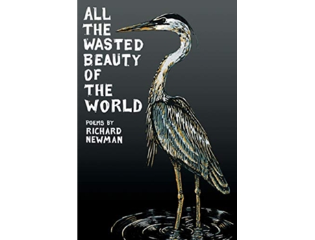 Livro All the Wasted Beauty of the World de Richard Newman (Inglês)