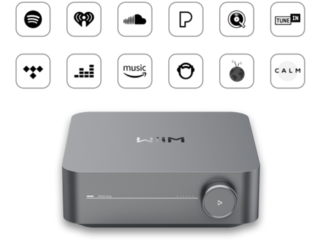 Amplificador Integrado com Rede WIIM Amp com Streaming e Dac