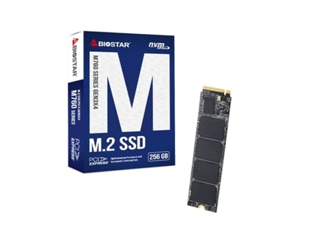 Disco Duro BIOSTAR M760 (256 GB SSD - PCI Express 3.0 - M.2)