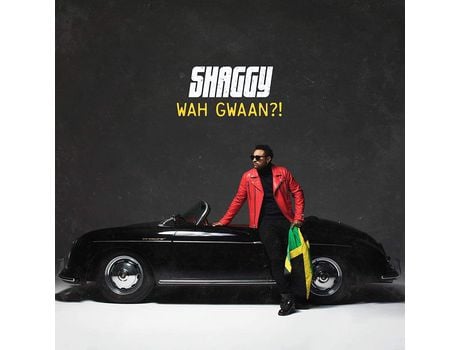 Vinil Shaggy Wah Gwaan?! (2Lp Vinil Verde e Amarelo)