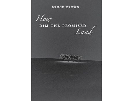 Livro How Dim The Promised Land de Bruce Crown ( Inglês )