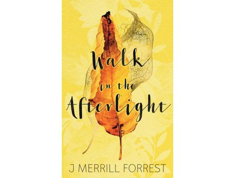 Livro Walk In The Afterlight de J Merrill Forrest ( Inglês )