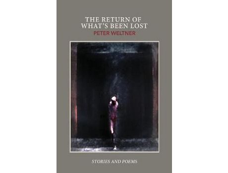 Livro The Return Of What'S Been Lost de Peter Weltner ( Inglês )