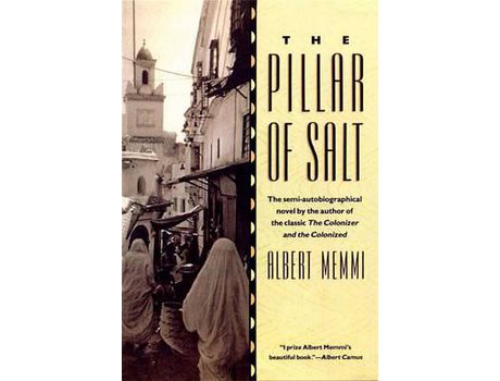 Livro The Pillar Of Salt: de Albert Memmi ( Inglês )