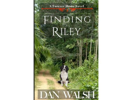 Livro Finding Riley de Dan Walsh ( Inglês )