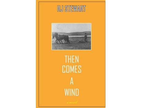 Livro Then Comes A Wind de Ronald (RJ) Stewart ( Inglês )