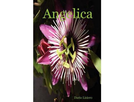 Livro Angelica de Dario Lisiero ( Inglês )