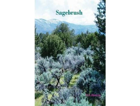 Livro Sagebrush de D.L. Hatton ( Inglês )