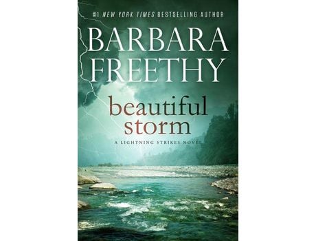 Livro Beautiful Storm de Barbara Freethy ( Inglês )