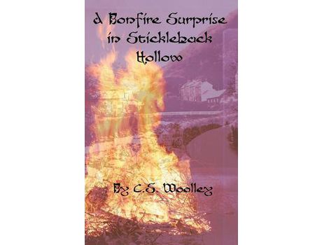 Livro A Bonfire Surprise In Stickleback Hollow: A British Victorian Cozy Mystery de C.S. Woolley ( Inglês )