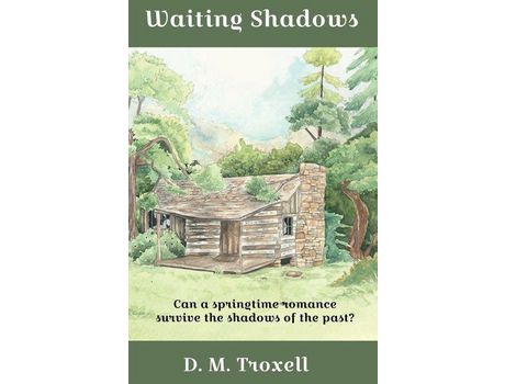 Livro Waiting Shadows de D. M. Troxell ( Inglês )