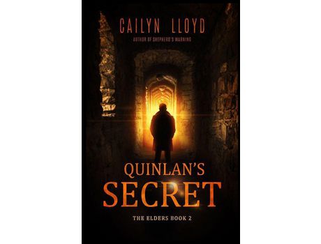 Livro Quinlan'S Secret de Cailyn Lloyd ( Inglês )