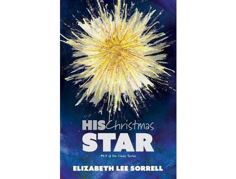 Livro His Christmas Star/Her Second Chance: Two Clause Novellas de Elizabeth Lee Sorrell ( Inglês )