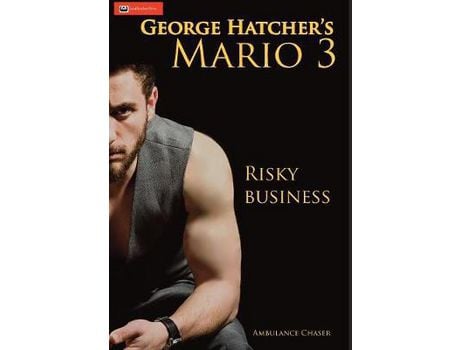 Livro Mario 3: Risky Business de George J Hatcher ( Inglês )