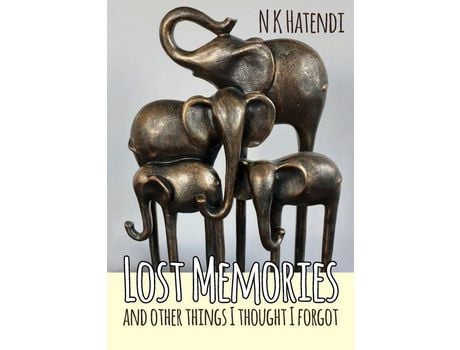 Livro Lost Memories And Other Things I Thought I Forgot de N K Hatendi ( Inglês )