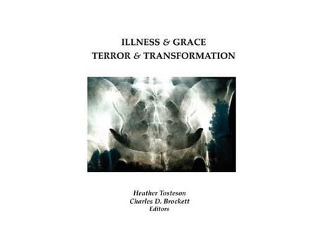 Livro Illness &Amp; Grace, Terror &Amp; Transformation de Heather Tosteson ( Inglês )