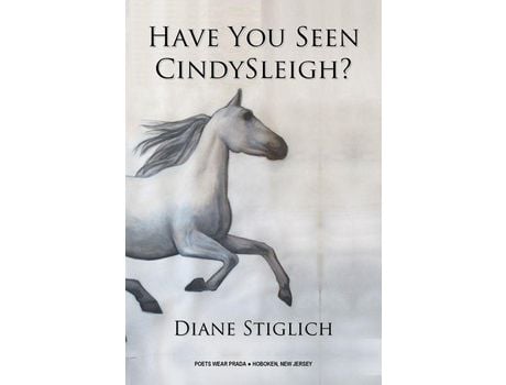 Livro Have You Seen Cindysleigh? de Diane Stiglich ( Inglês )