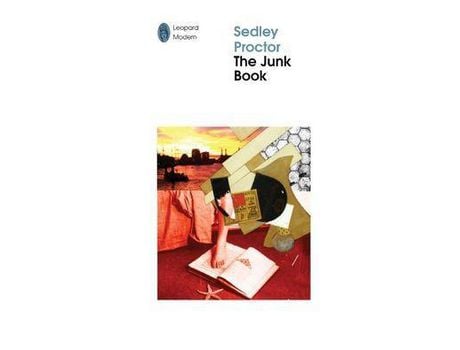 Livro The Junk Book: Of Jimmy Quentin, Poet Maudit Of The Q-Tips: Down And Out In Nineties London de Sedley Proctor ( Inglês )