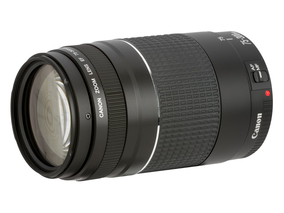 CANON EF 75-300mm f4-5.6 - レンズ(ズーム)