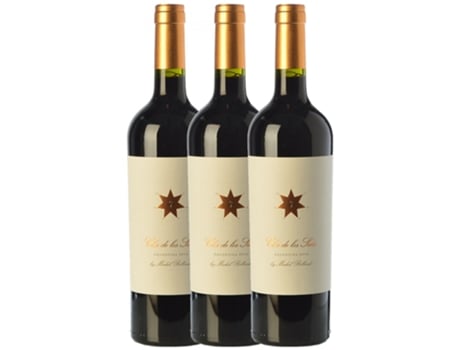 Vinho CLOS DE LOS SIETE Clos De Los Siete Valle De Uco Crianza (0.75 L - 3 unidades)