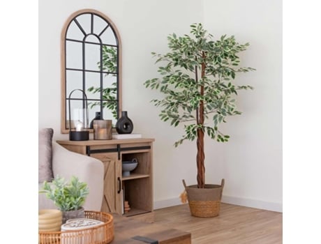 Planta Ficus Bruneli 180Cm CASIKA