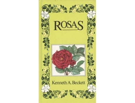 Livro Rosas de Sin Autor (Espanhol)