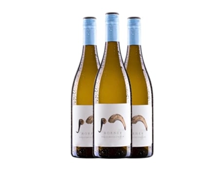 Vinho branco WEINGUT HÖRNER Pinot Branco Seco Pfälz (0.75 L - 3 Unidades)