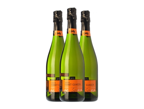 Espumante FERRET GUASCH Coupage Sara Brut Nature Cava Grande Reserva (0.75 L - 3 Unidades)