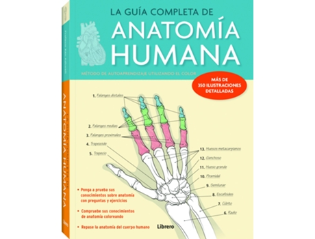 Livro Guia Completa De Anatomia Humana,La de Ken Ashwell (Español)