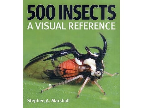 Livro 500 insects de stephen a. marshall (inglês)