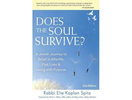 Livro does the soul survive? de elie (rabbi elie kaplan spitz) kaplan spitz (inglês)