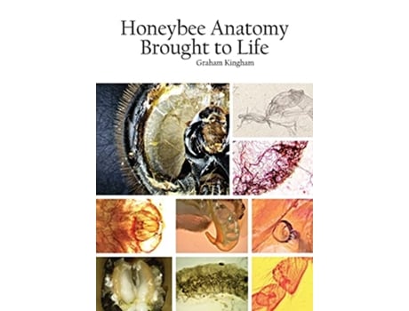 Livro Honeybee Anatomy Brought to Life de Graham Kingham (Inglês)