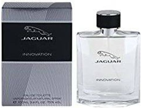 Perfume  Innovation Men Eau de Toilette (100 ml)